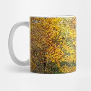 Colorful autumn trees Mug